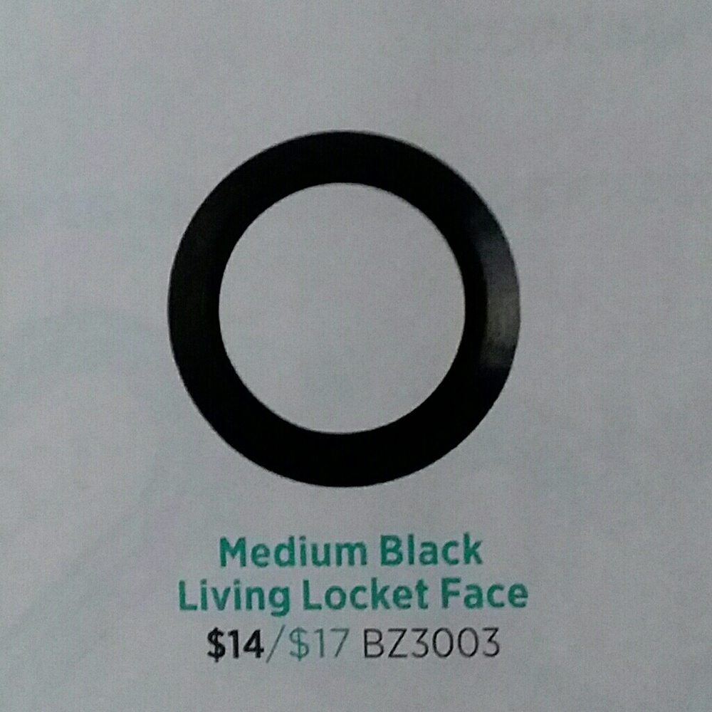▪Origami Owl▪ - Picture 2 of 3